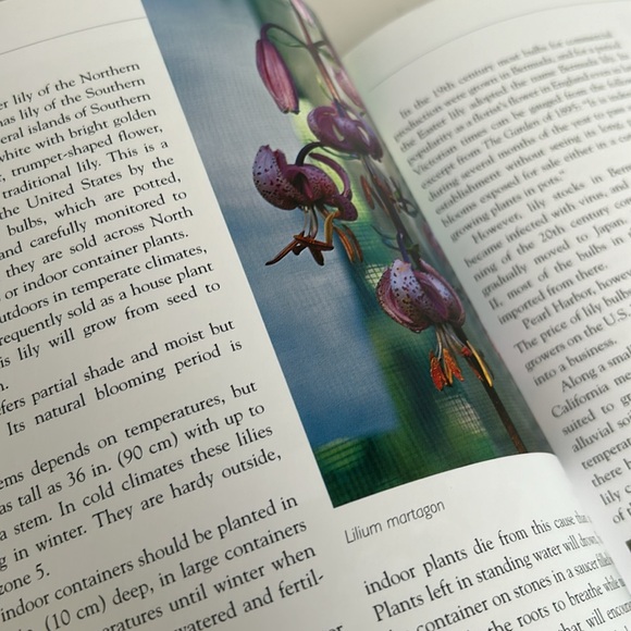 🌻4/$20 Vintage Lilies Book Softcover 2004 Edition Pamela McGeorge Firefly Books - Picture 8 of 16